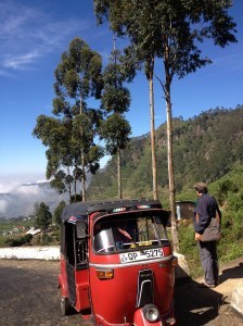 on the way to Lipton point1