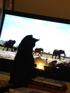 Button enjoying by proxy