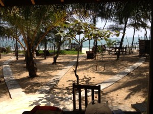 the view to the waves