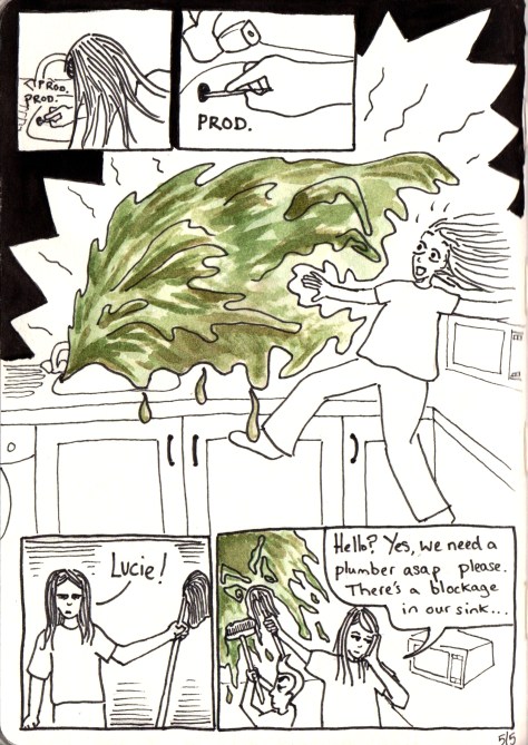 link for Lucie website